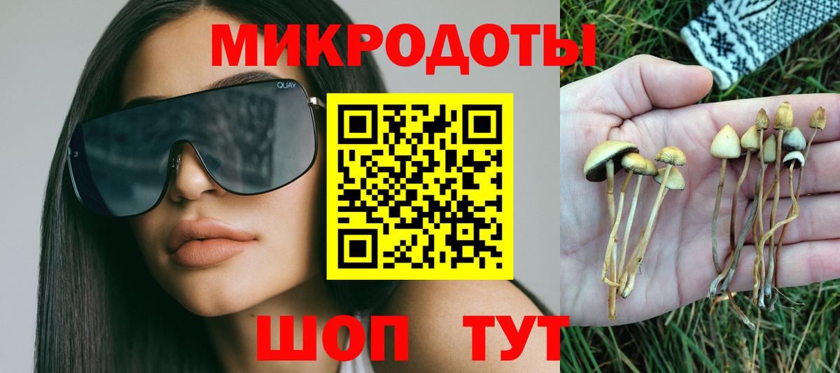 Избербаш  Псилоцибиновые грибы мицелий  Вход с VPN  Галлюциногенные грибы мицелий 